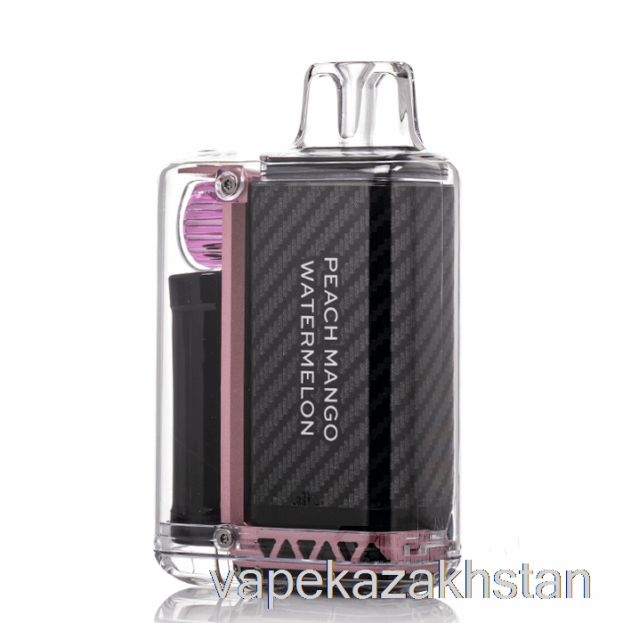 Vape Disposable VOZOL Vista 16000 Disposable Peach Mango Watermelon